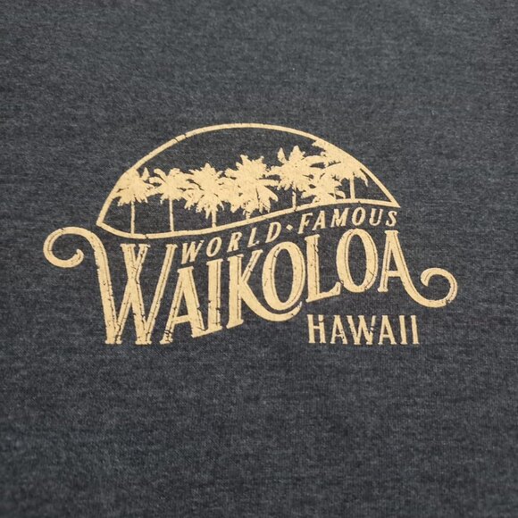 World-Famous Waikoloa Hawaii Graphic Tee – Zuni Sportswear, Size M - Picture 3 of 7